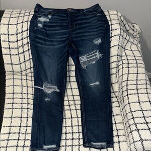 American Eagle Outfitters Dark Indigo Distressed Skinny Jeans